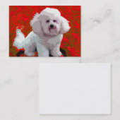 Bichon Frise Pop-Kunst-Geschäfts-Karten Visitenkarte (Vorne/Hinten)