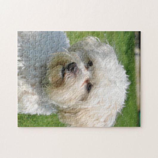 Bichon Frise-Portrait Puzzle (Horizontal)