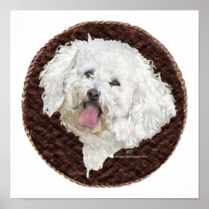 Bichon Frise-Porträt Poster