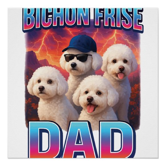 Bichon Frisé Poster (Vorderseite)