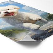 Bichon Frise Poster (Ecke)
