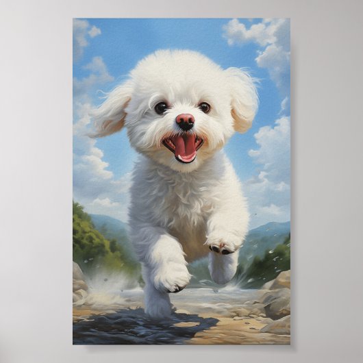 Bichon Frise Poster (Vorne)
