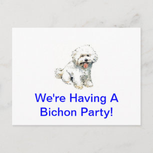 Bichon Frise Postkarte