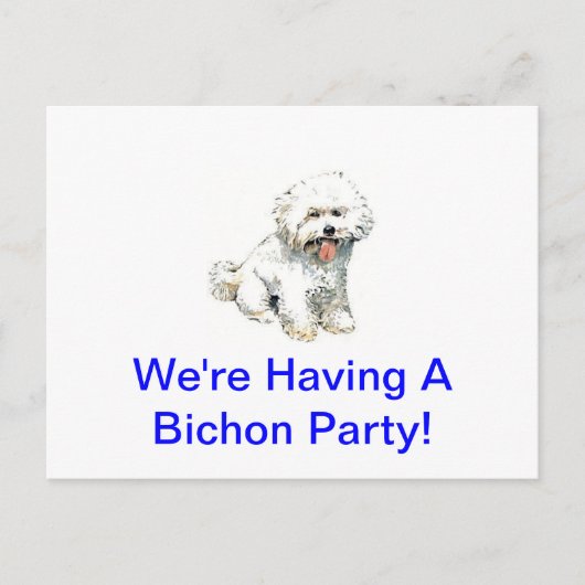 Bichon Frise Postkarte (Vorderseite)
