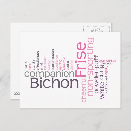 Bichon Frise Postkarte (Vorne/Hinten)