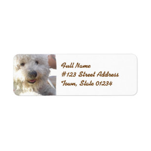 Bichon Frise Postsendung-Aufkleber