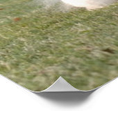 Bichon Frise Print Poster (Ecke)