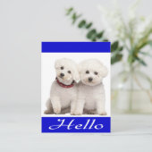 Bichon Frise Puppy Dog Hallo Grußkarte Post Card Postkarte (Stehend Vorderseite)