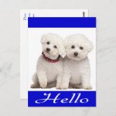 Bichon Frise Puppy Dog Hallo Grußkarte Post Card Postkarte (Vorne/Hinten)