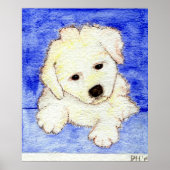 Bichon Frise Puppy Dog Portrait Poster (Vorne)