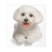 Bichon Frise Puppy Notizblock (Vorderseite)