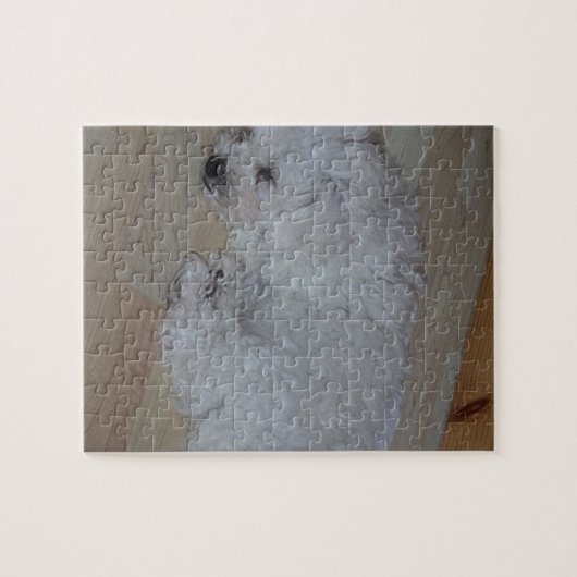 Bichon_Frise_puppy_sleeping Puzzle (Horizontal)