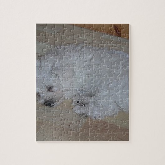Bichon_Frise_puppy_sleeping Puzzle (Vertikal)
