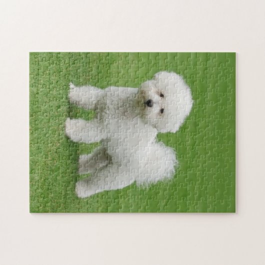 Bichon Frise Puzzle (Horizontal)