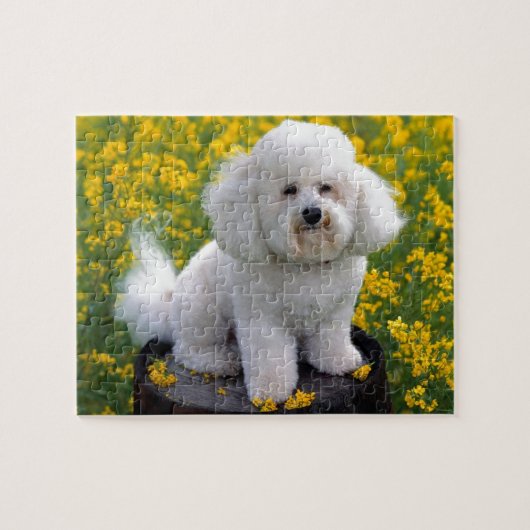 Bichon Frise Puzzle (Horizontal)