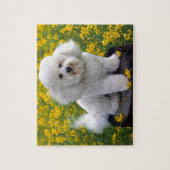 Bichon Frise Puzzle (Vertikal)