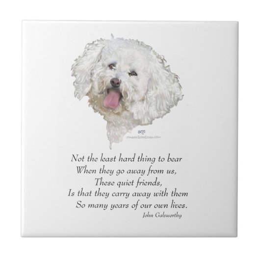 Bichon Frise Rainbow Bridge Fliese (Vorderseite)