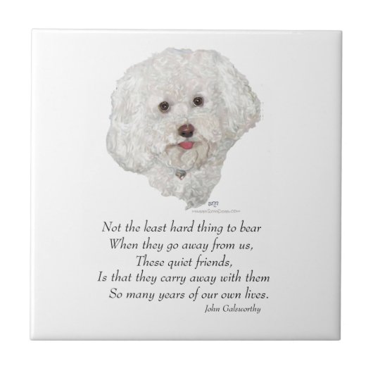 Bichon Frise Rainbow Bridge Fliese (Vorderseite)