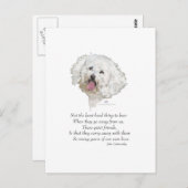 Bichon Frise Rainbow Bridge Postkarte (Vorne/Hinten)