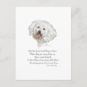 Bichon Frise Rainbow Bridge Postkarte (Vorderseite)