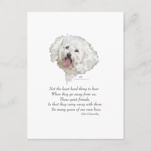 Bichon Frise Rainbow Bridge Postkarte (Vorderseite)