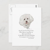 Bichon Frise Rainbow Bridge Postkarte (Vorne/Hinten)