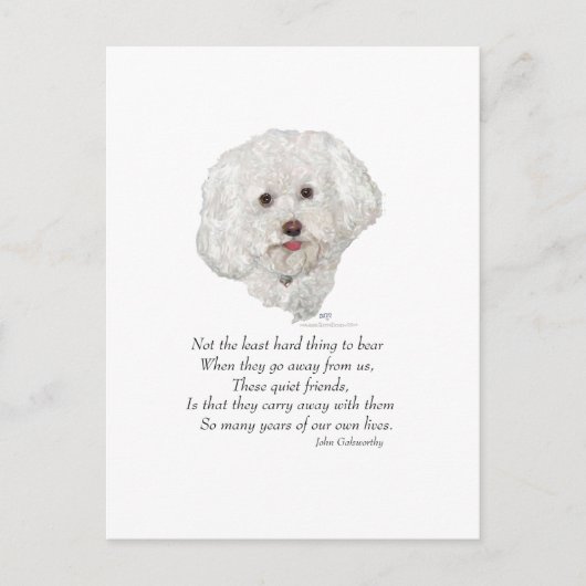 Bichon Frise Rainbow Bridge Postkarte (Vorderseite)