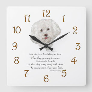 Bichon Frise Rainbow Bridge Quadratische Wanduhr