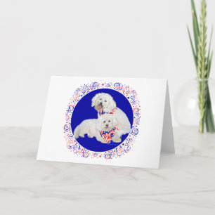 Bichon Frise Rot Weiß Blau Karte