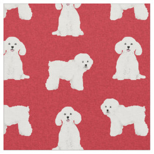 Bichon Frise, Rothundweihe Stoff