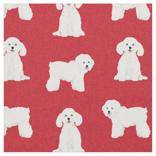 Bichon Frise, Rothundweihe Stoff (Nahaufnahme)