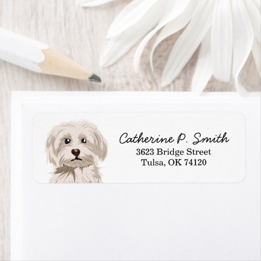 Bichon Frise Rücksendeadresse (Insitu)