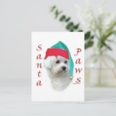 Bichon Frise Santa Paws Feiertagspostkarte (Stehend Vorderseite)
