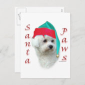 Bichon Frise Santa Paws Feiertagspostkarte (Vorne/Hinten)
