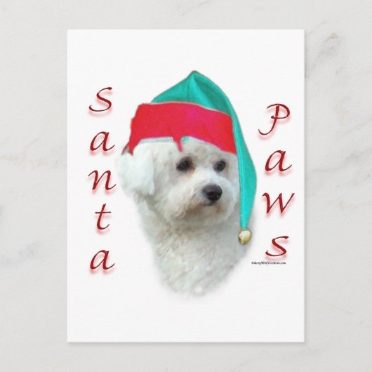 Bichon Frise Santa Paws Feiertagspostkarte (Vorderseite)