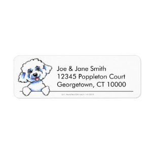 Bichon Frise sauber u. einfach