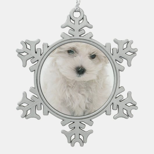 Bichon Frise Schneeflocken Zinn-Ornament (Vorderseite)