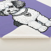 Bichon Frise Sherpadecke (3/4)