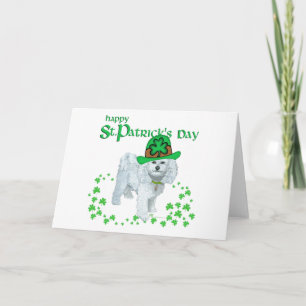 Bichon Frise St Patricks Day Karte
