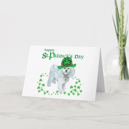 Bichon Frise St Patricks Day Karte (Vorderseite)