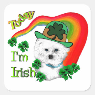 Bichon Frise St Patricks Quadratischer Aufkleber