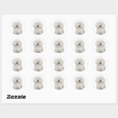 Bichon Frise Sticker (Blatt)