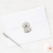 Bichon Frise Sticker (Umschlag)