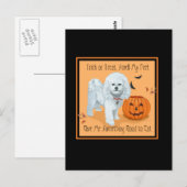 Bichon Frise Süßes oder Saures Postkarte (Vorne/Hinten)