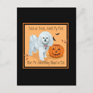 Bichon Frise Süßes oder Saures Postkarte