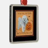 Bichon Frise Trick oder Treat Ornament Aus Metall (Rechts)