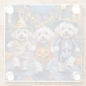 Bichon Frise Trick-oder-Treating Halloween-Kostüme Glasuntersetzer (Rückseite)