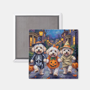 Bichon Frise Trick-oder-Treating Halloween-Kostüme Magnet