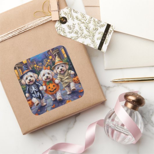 Bichon Frise Trick-oder-Treating Halloween-Kostüme Quadratischer Aufkleber (Schenken)