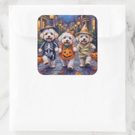 Bichon Frise Trick-oder-Treating Halloween-Kostüme Quadratischer Aufkleber (Tasche)